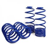 Lowering Springs